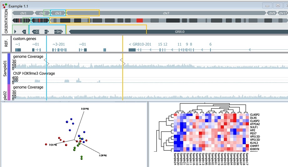 Ngs Next Generation Sequencing Scott Denerivery53